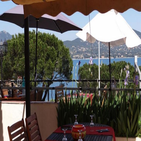 Vente Immobilier Professionnel Local commercial Saint-Tropez 83990
