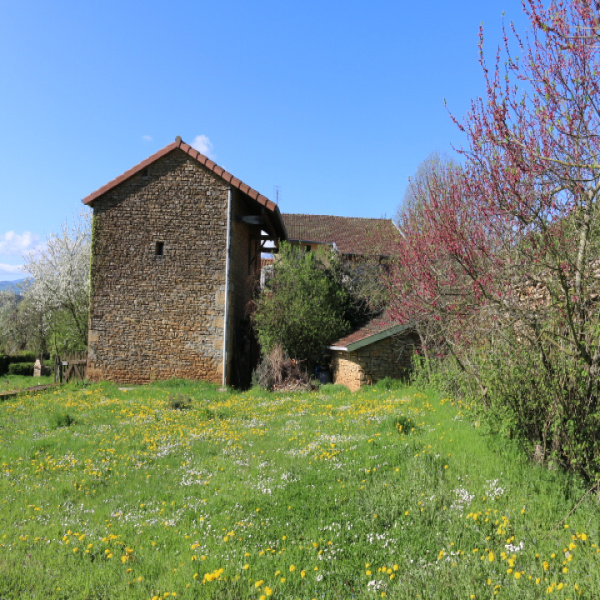 Offres de vente Maison Clermain 71520